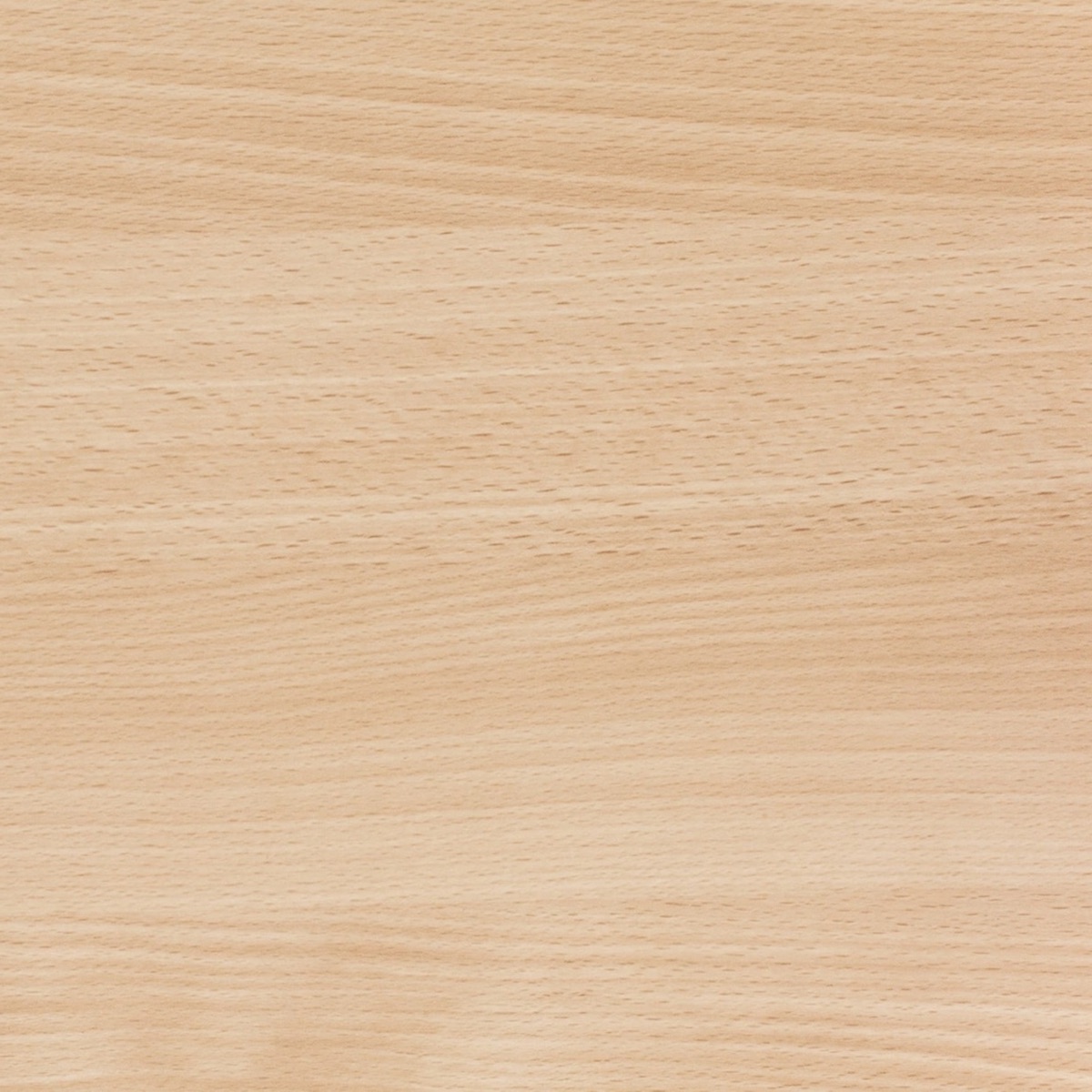 Natural Beech
